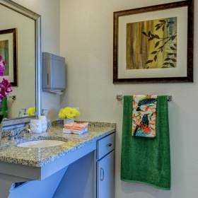 Bathroom counter with orchids and towels 